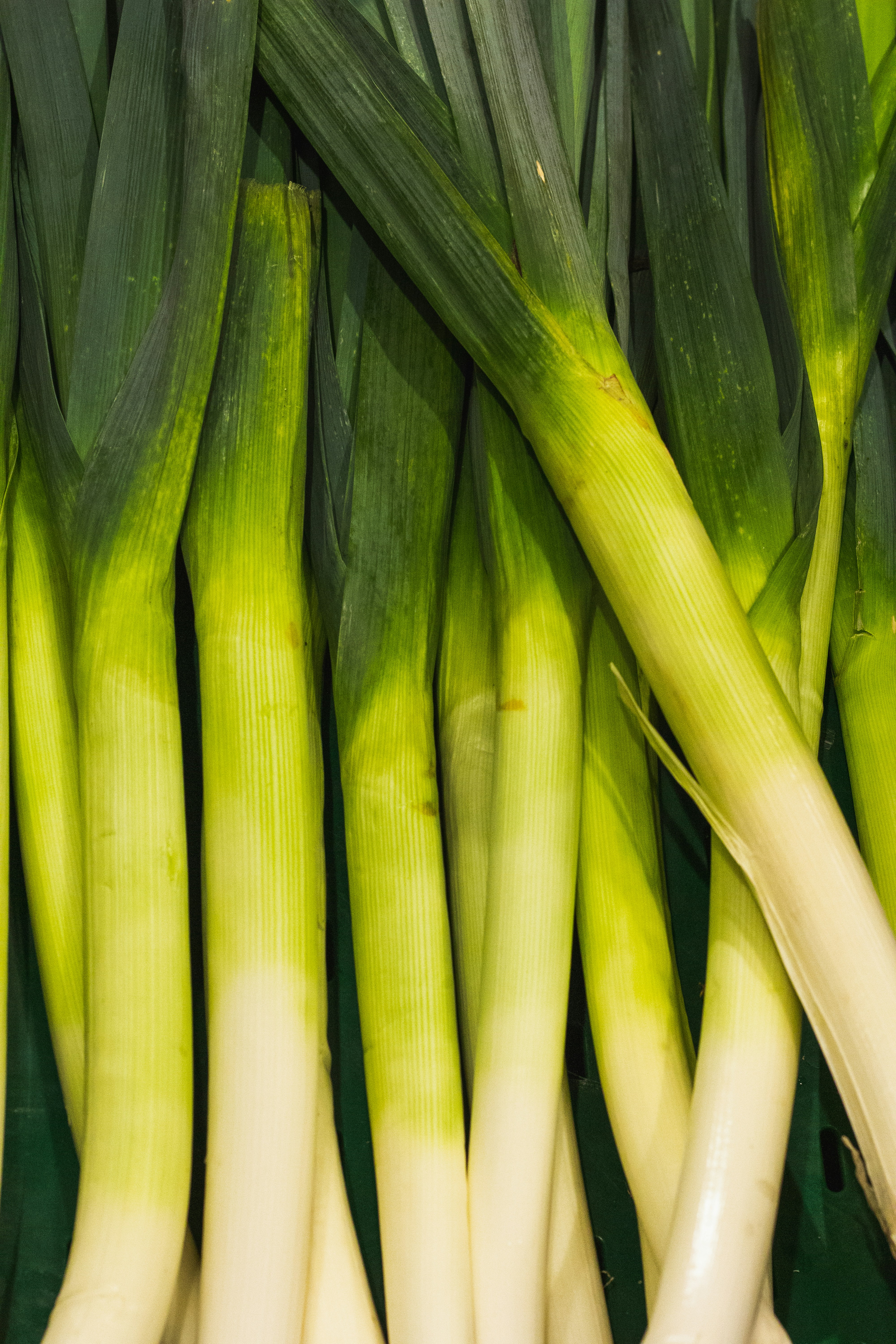 Fresh leek