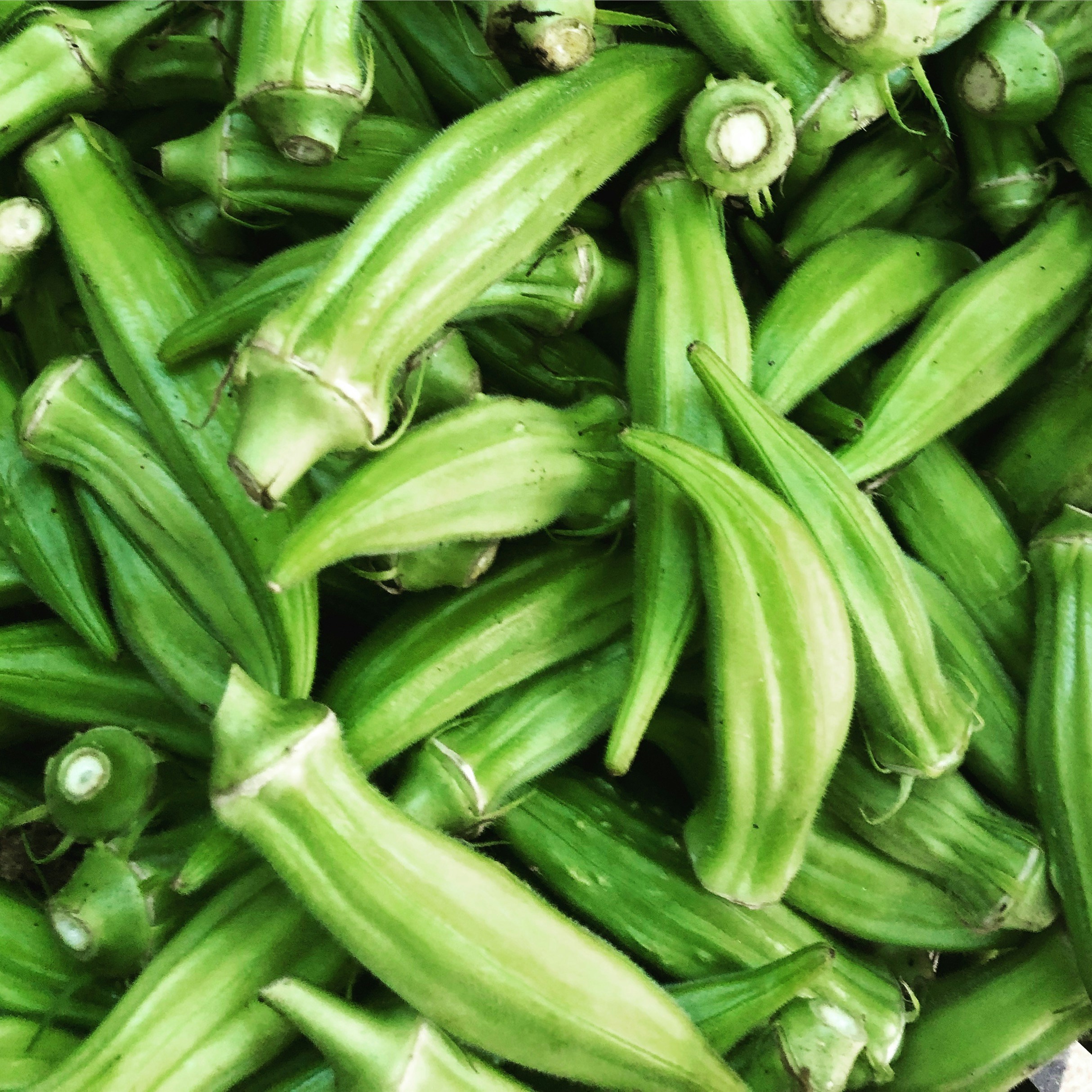 Fresh okra