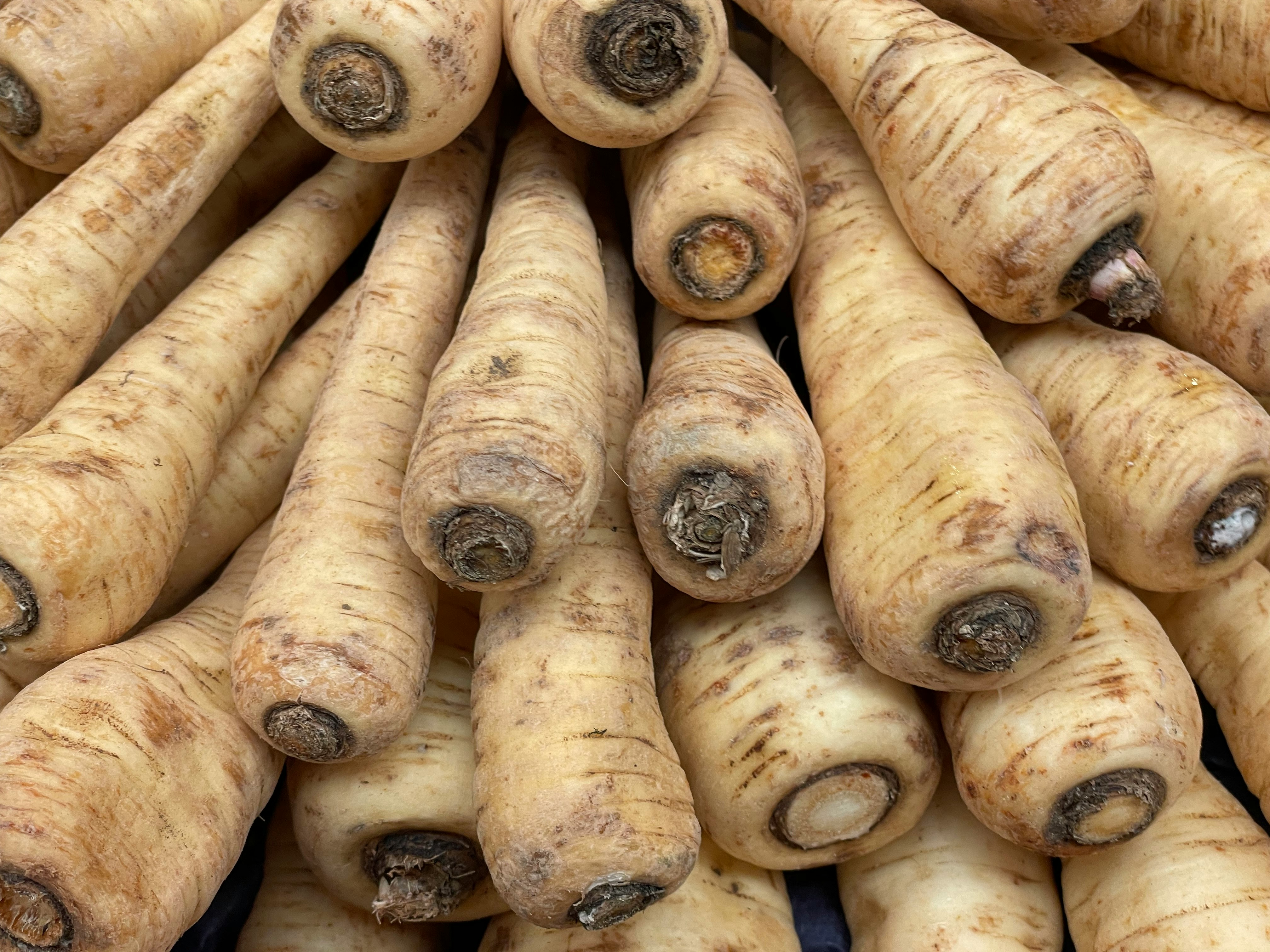 Fresh parsnip