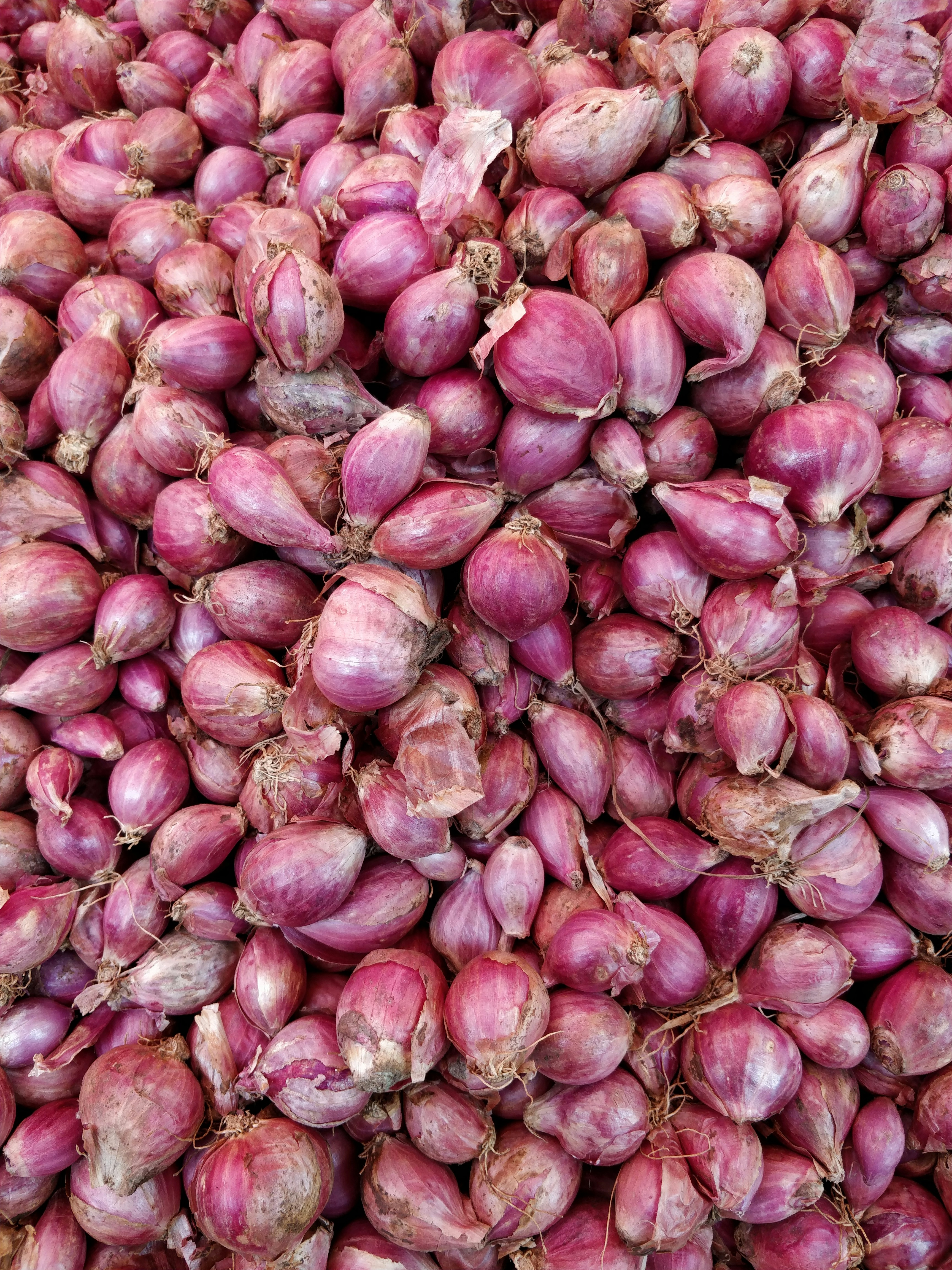 Fresh shallot