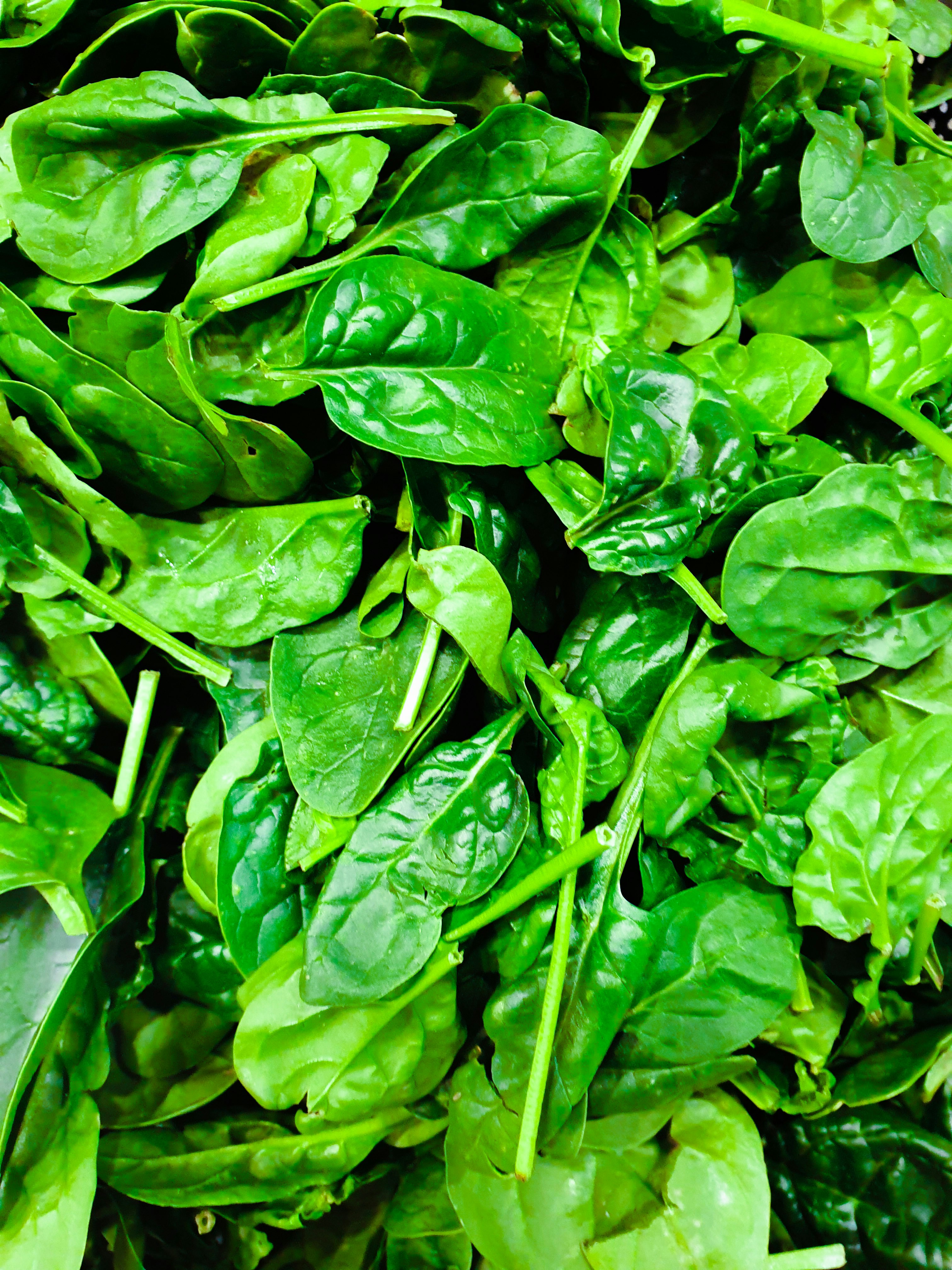 Fresh spinach