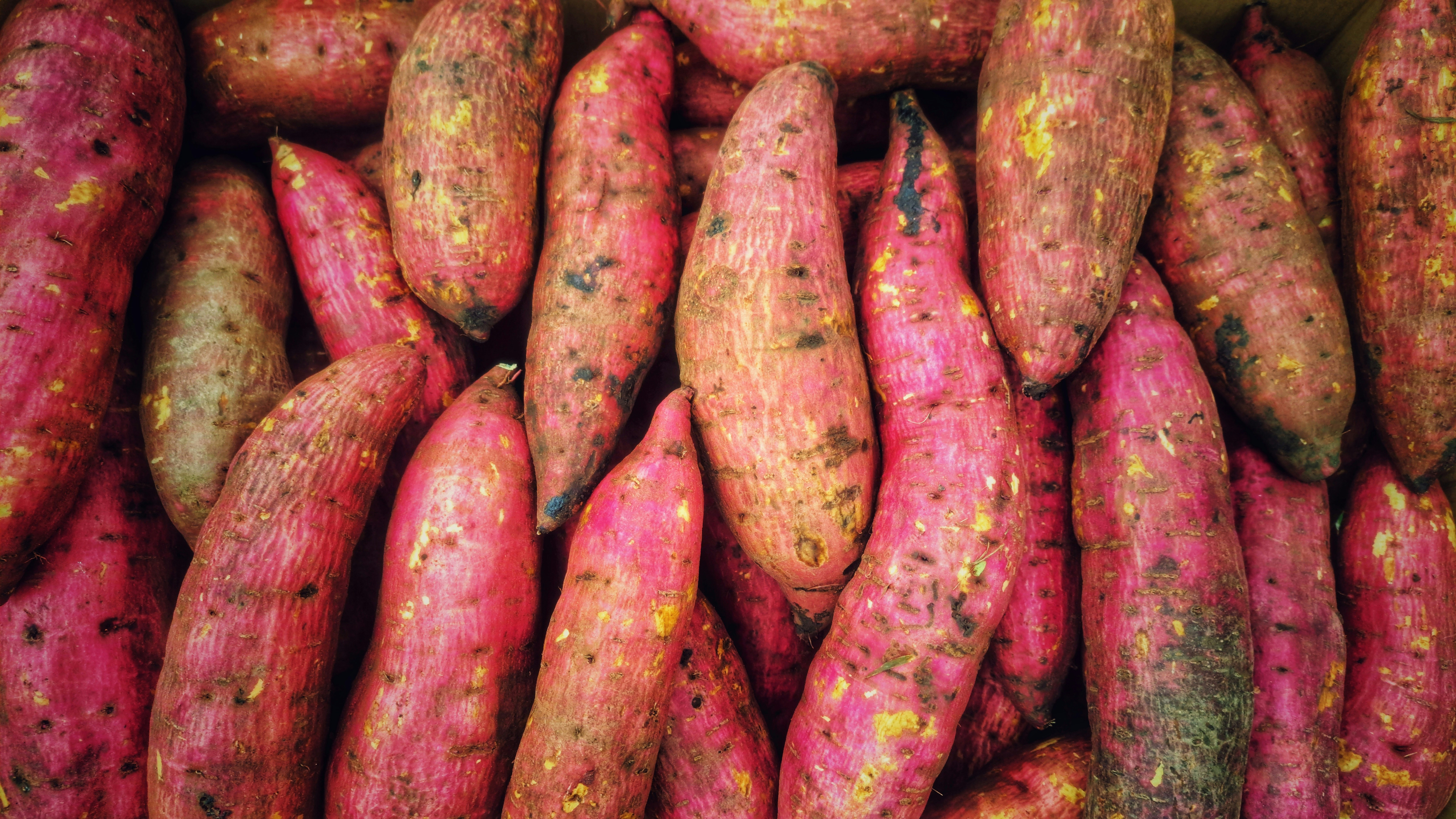 Fresh sweet potato