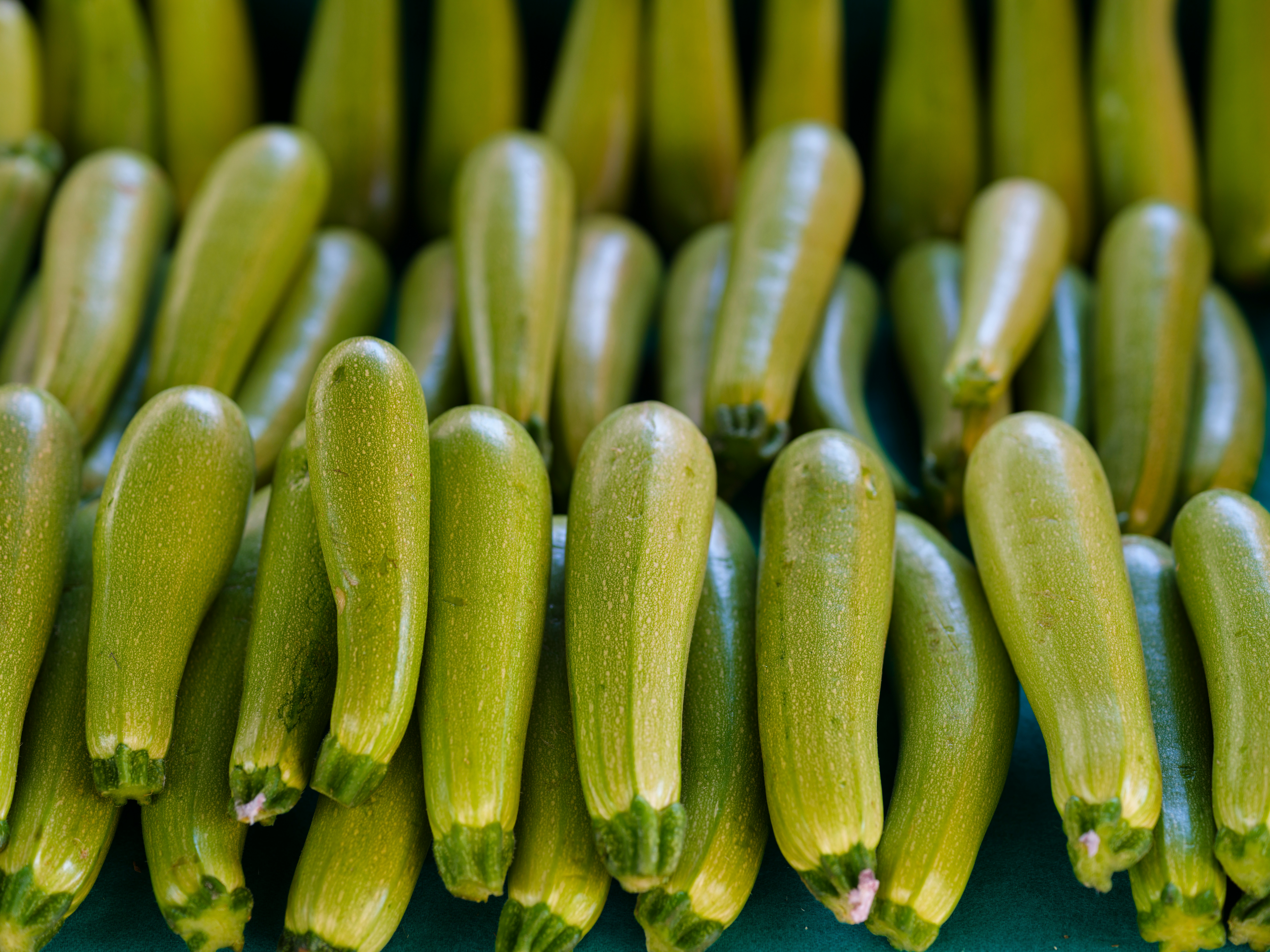 Fresh zucchini