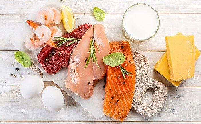 foods rich in l-carnitine