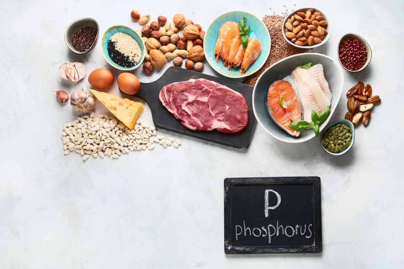 foods rich in phosphorus